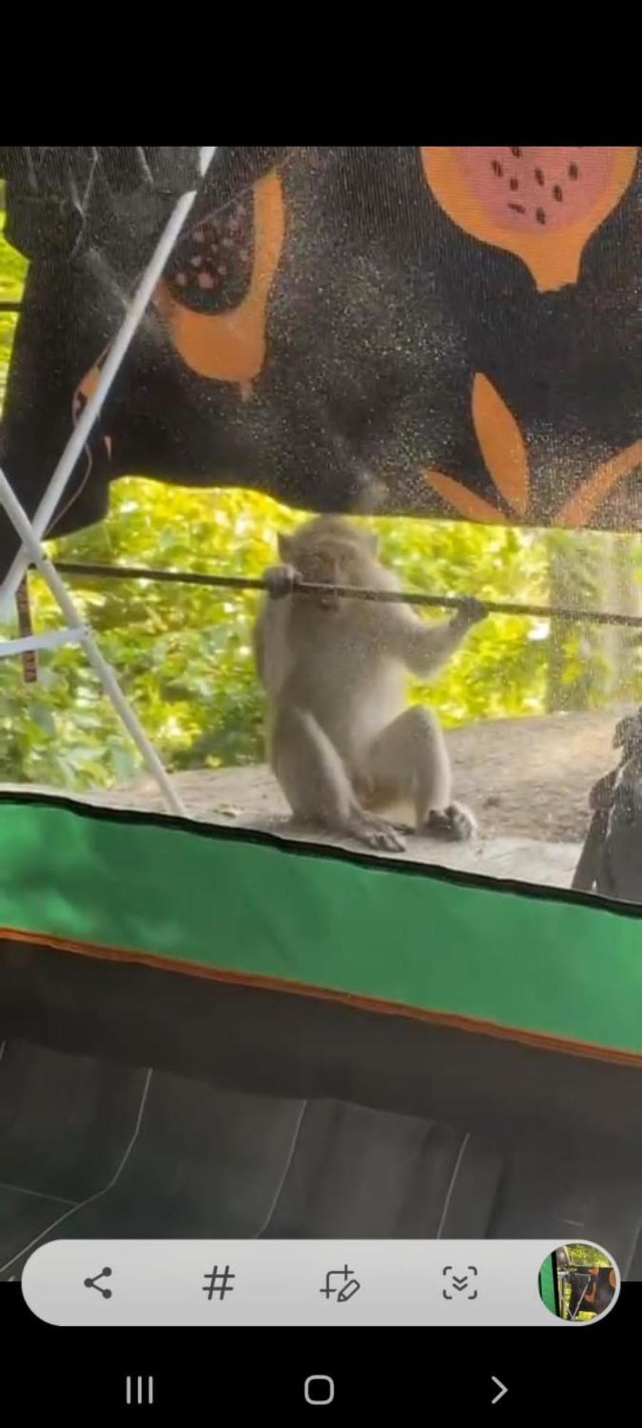 Joy Camping Haad Rin Luaran gambar